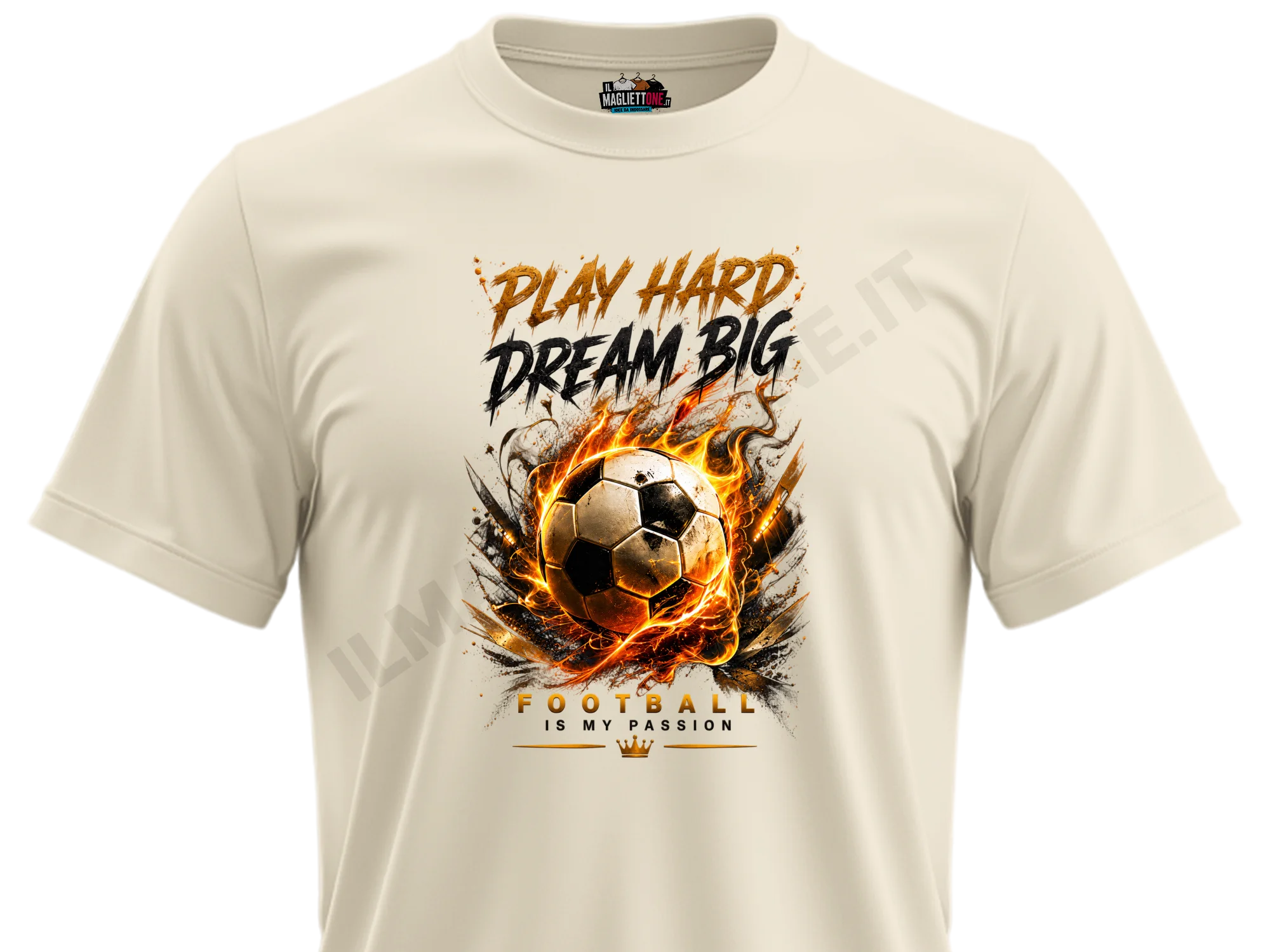 Play Hard Dream Big